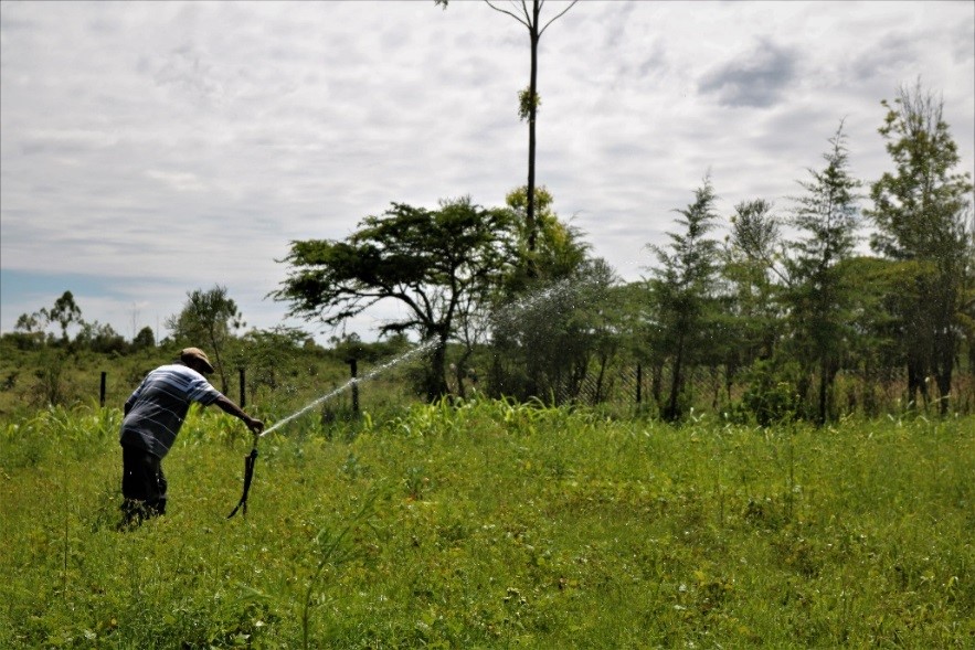 Daniel using water on his farm