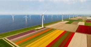 Aerial view of tulip fields and wind turbines in Netherlands