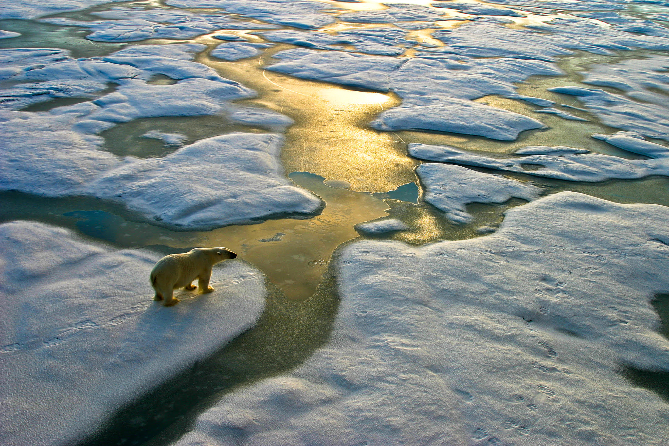 Three days of climate action for Earth Day 2021 - Energy Saving Trust - Vimarsana News