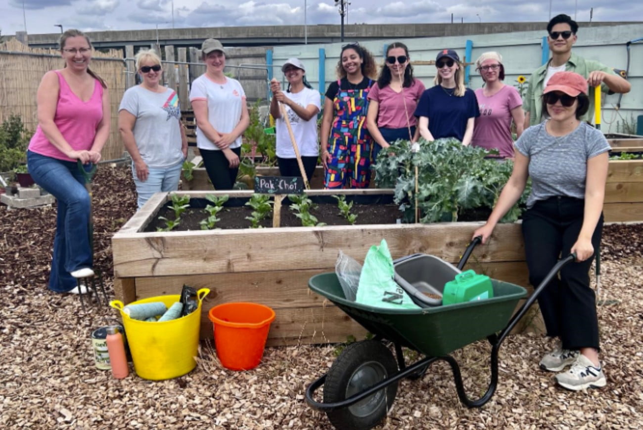 A group of staff working within a community garden